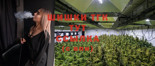 jwh Ельня