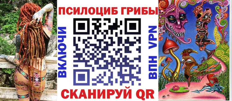 как найти наркотики  MEGA вход  маркетплейс какой сайт  Суджа  Галлюциногенные грибы Cubensis 